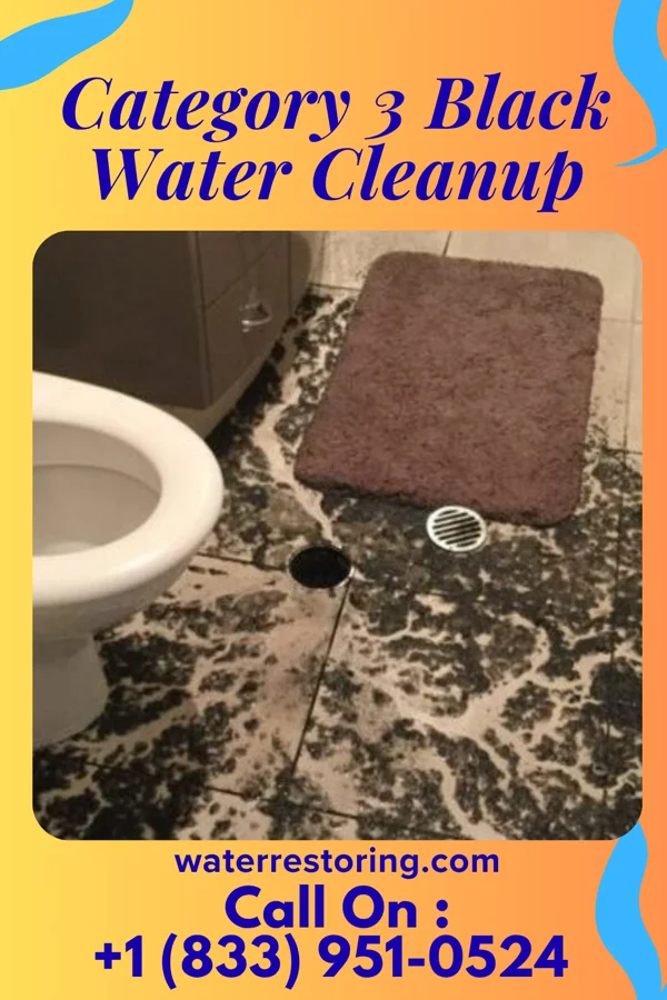 Category 3 Black Water Cleanup in Kramer, IN